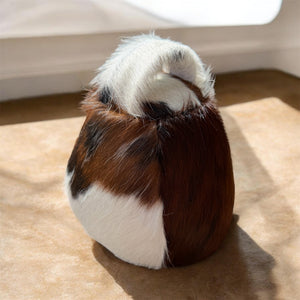 Dorset Doorstop